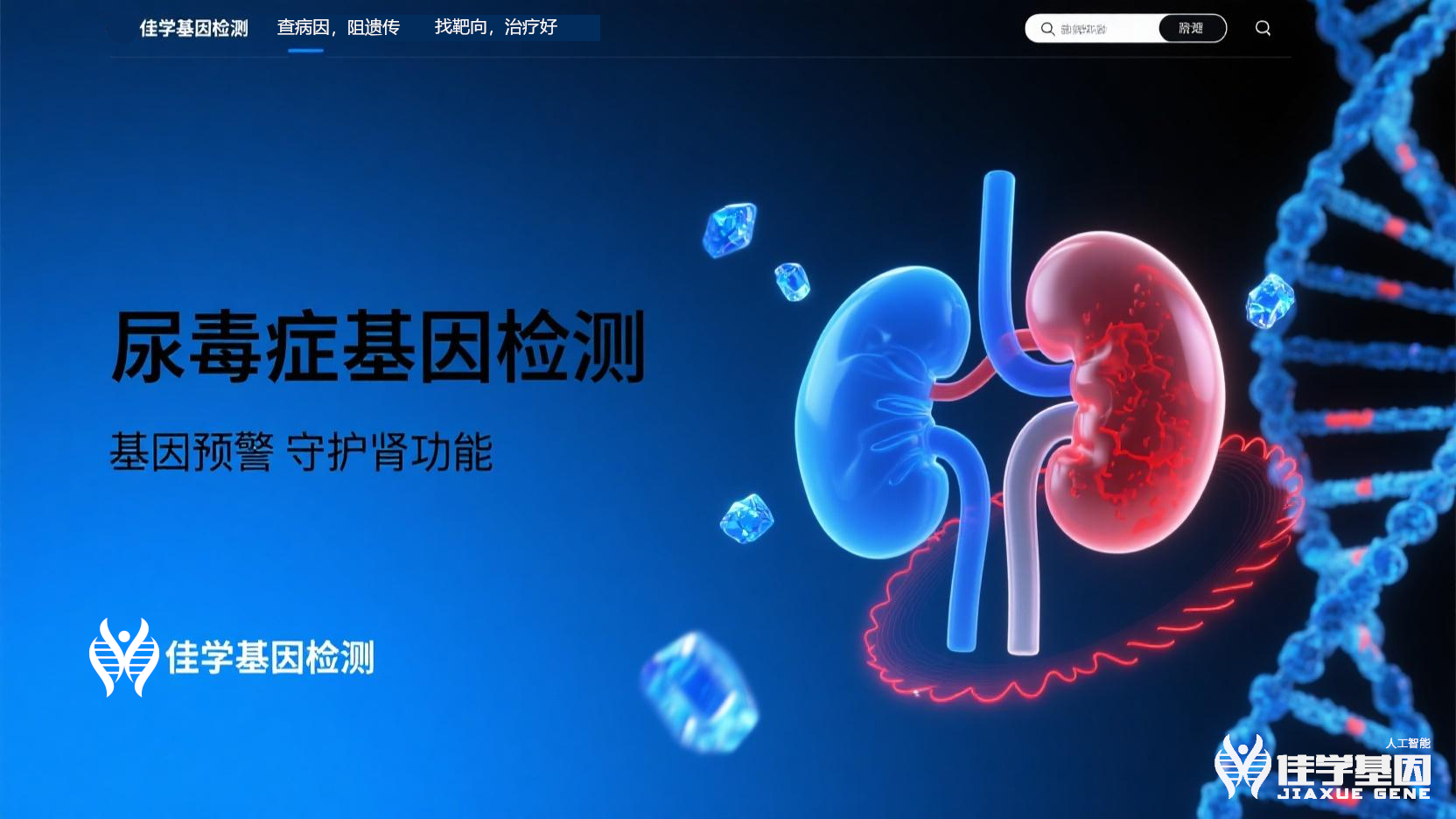 【evo视讯官网基因检测】<font color='red'><font color='red'>尿毒症</font></font>基因检测寻找治疗靶点