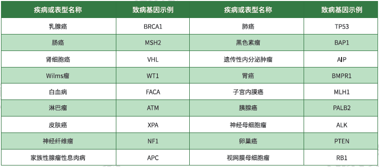 【evo视讯官网基因检测】<font color='red'><font color='red'>遗传性</font><font color='red'>肿瘤</font></font>致病基因鉴定基因解码